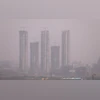Smog, Noida Pollution Smog, Noida Pollution