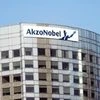 Akzo Nobel India, Akzo Nobel