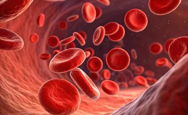 Study links muscle weakness in cancer survivors to treatable vessel issues blood cancer, blood