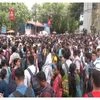 TMC slams Oppn after HC stays relief scheme for sacked non-teaching staff