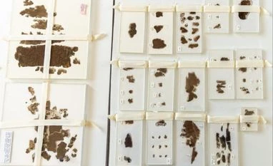 2,300-yr-old silk manuscripts finally return to China after 79 years in US Zidanku Silk Manuscripts