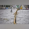 Hyderabad faces waterlogging after heavy rain; IMD issues yellow alert