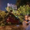 Delhi storm, thunderstorm, Delhi rain, tree falling