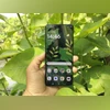 Motorola Edge 60 Pro