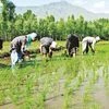 India a developed nation only when farming becomes profitable, prestigious