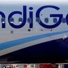 indigo airlines, indigo