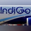 indigo airlines, indigo