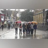 shimla rains, rain