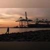 oil tankers, sea shore, trading