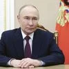 Vladimir Putin, Putin