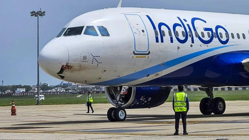 IndiGo, Bird Strike IndiGo, Bird Strike
