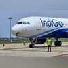 IndiGo, Bird Strike