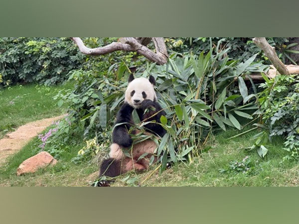 Tennis player James Blake
