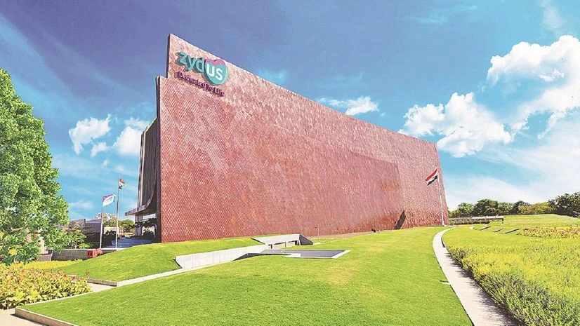 Zydus Lifesciences, Zydus Zydus Lifesciences Q2 results impact