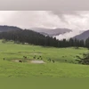 J&K