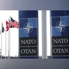 Nato to coordinate arms deliveries to Ukraine, most will be bought from US