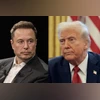 donald trump, elon musk