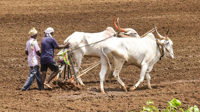 Farmers, Farmer, agriculture, Ploug Farmers, Farmer, agriculture, Ploug