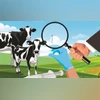 AMR crisis: Centre asks states to monitor antibiotic use in animals