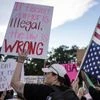Protest, Immigration Protest