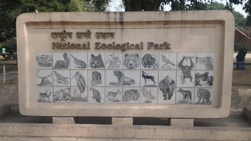Delhi Zoo Delhi Zoo