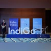 indigo airlines, indigo