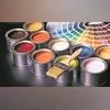 paints, paint sector