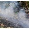 Kedarnath helicopter crash