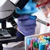 Covid-19 cases dip again: Was this mini-wave just a seasonal bump?