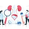 Israeli lab grows human kidney that lasts 34 weeks in medical first