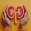 kidney health