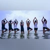 Yoga, Yog