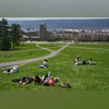college, university, US university