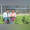 Insurance, Technology, money management, insurance distribution in India, digital insurance adoption, omnichannel insurance model, rural insurance penetration, insurance and financial inclusion, hybrid insurance distribution, tech in insurance India,