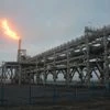 Russia tries again to boost LNG exports stalled by US sanctions last year