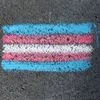 Transgender flag