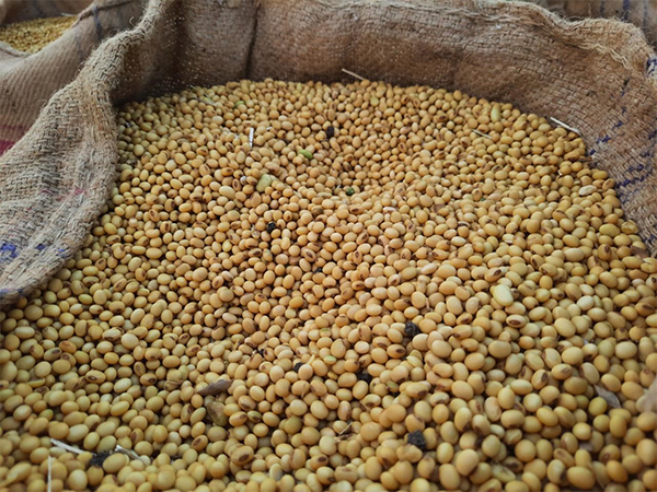 Tennis player James Blake