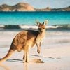 Australia tourism