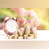 MNC Funds: High quality, but hold for a minimum of 5 years to offset risks