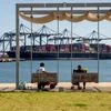 Donald Trump's tariff 'blank check' must be curbed: Businesses to US court