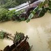 At least 9 killed, 20 missing as heavy rain floods Nepal-China border