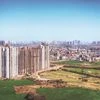 real estate, realty firms