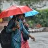 Delhi Rains, Rain
