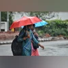 Delhi Rains, Rain