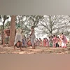 tribals, adivasi tribals, adivasi