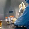 biotech, research, drug making, science, experiment