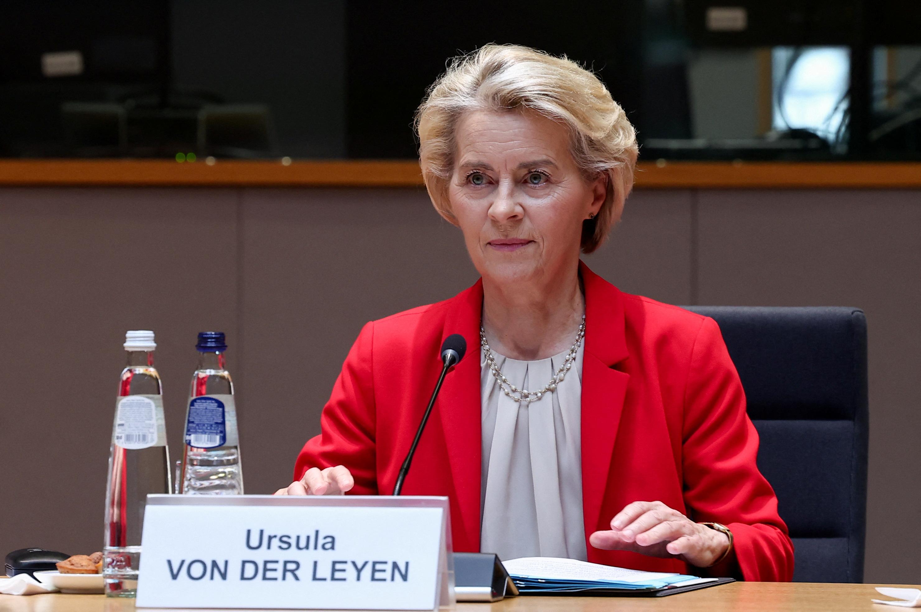 EU to stop Russian LNG imports, targets crypto in 19th sanctions package |  World News - Business Standard