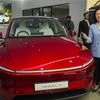 Tesla, Tesla India