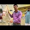 aasif khan, aasif khan panchayat, aasif khan heart attack, heart attack