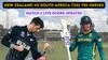 South Africa vs New Zealand T20I live scorecard